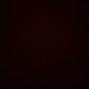 Meet your Posher, Torrence